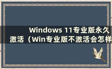 Windows 11专业版永久激活（Win专业版不激活会怎样）